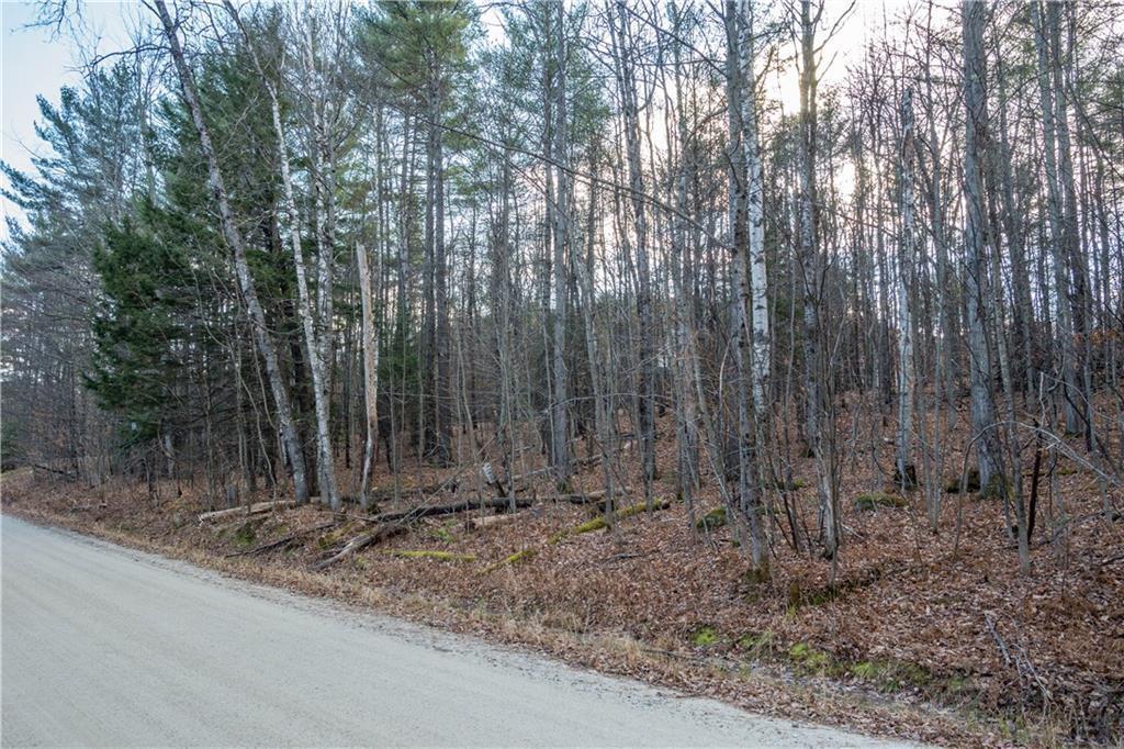 Lot 69 Beech Road Greenwood, ME 04255 - Photo 1 of 9 Looking south and east