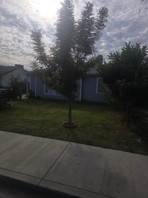 165 East Linden Avenue Reedley, CA 93654 - Photo 6 of 19 a view of a backyard