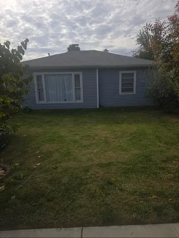 a view of a backyard with plants and large trees