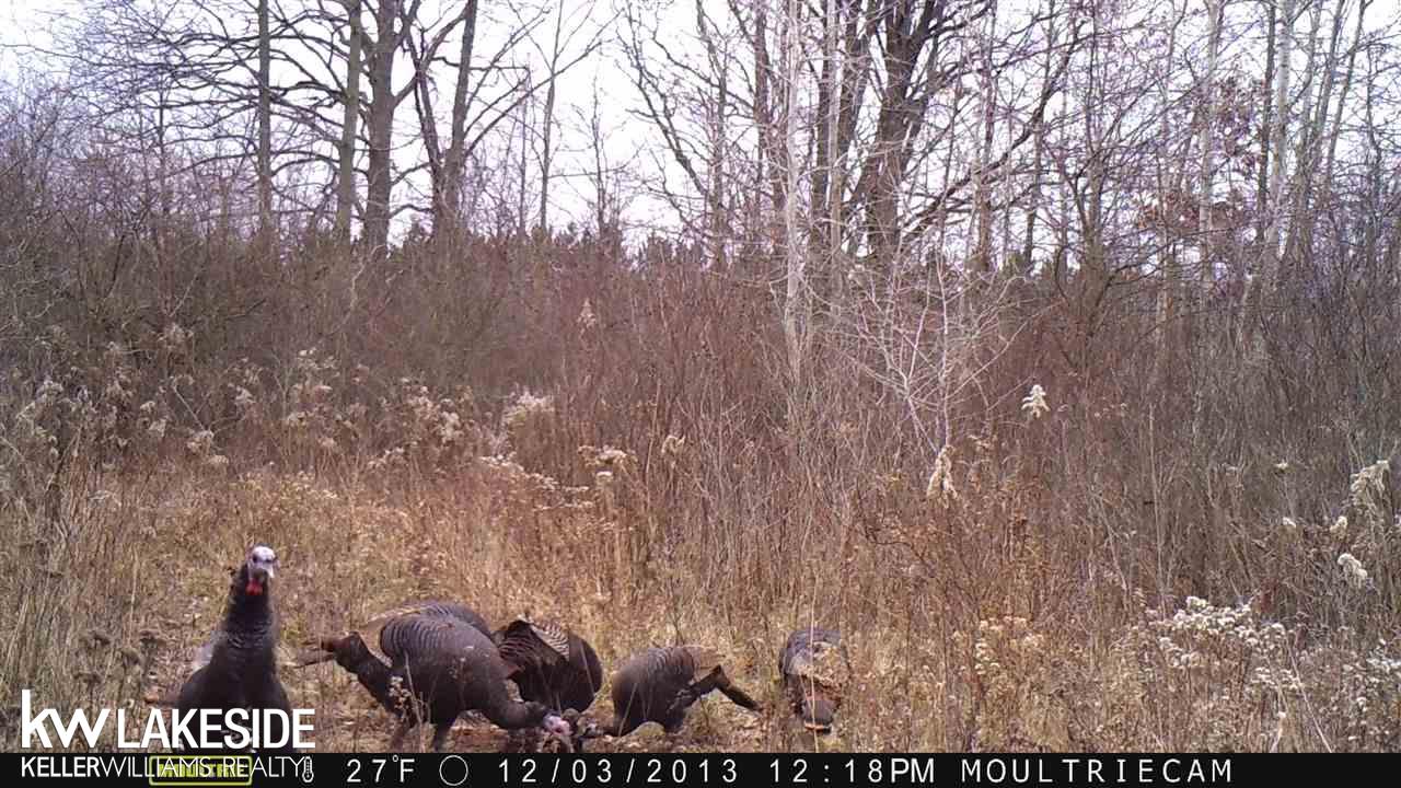 9977 Big Hand Road Columbus, MI 48063 - Photo 33 of 39 31395514-38.JPG