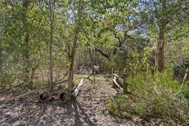 a view of a yard with plants and a bench