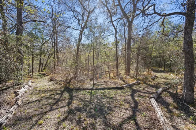 a view of a yard with a tree
