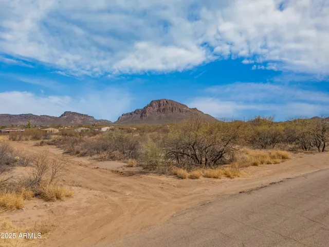 a view of a dry yard with mountains in the background
