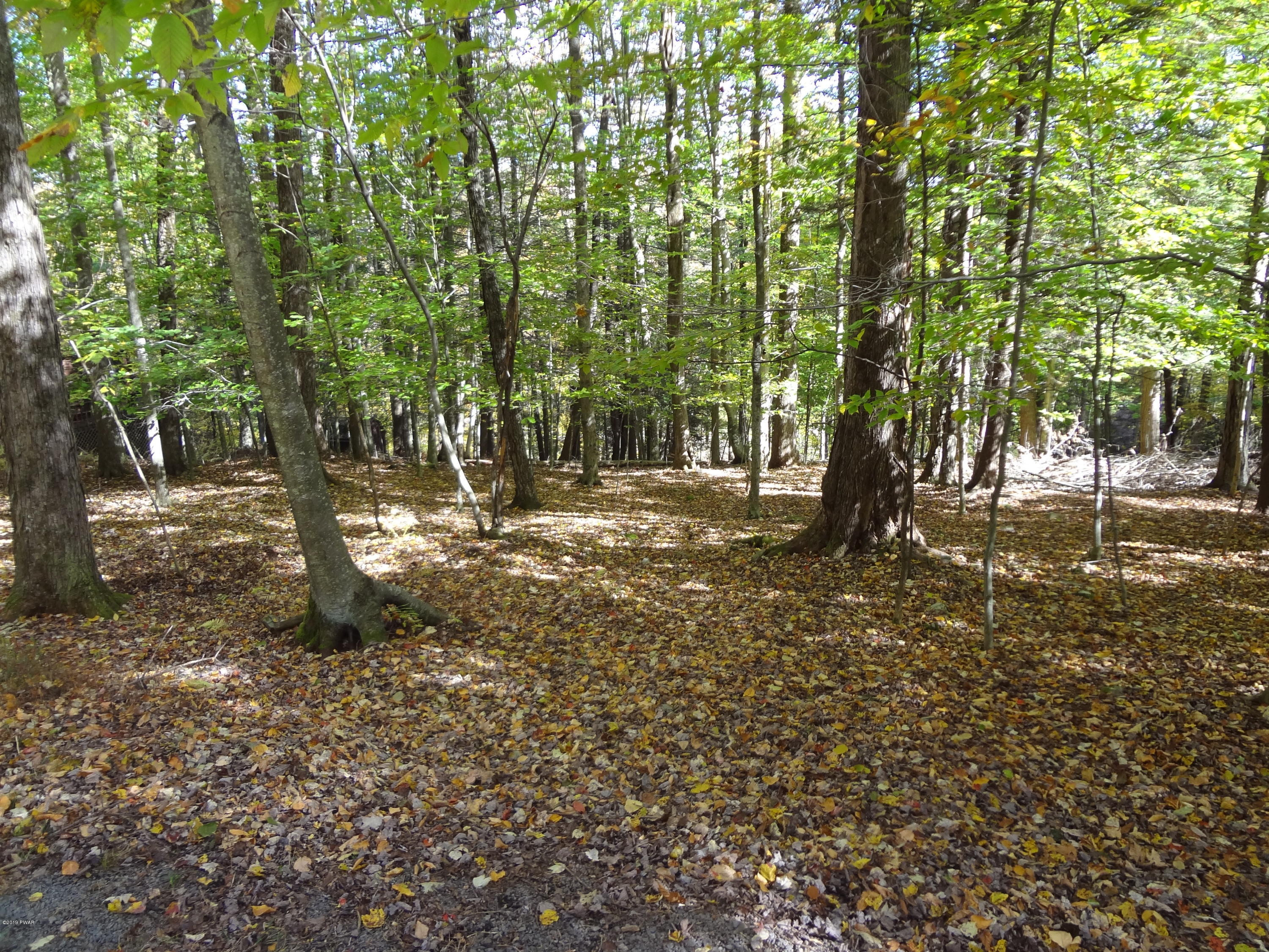 106 Deerfoot Road Lake Ariel, PA 18436 - Photo 37 of 51 Extra Lot - .26