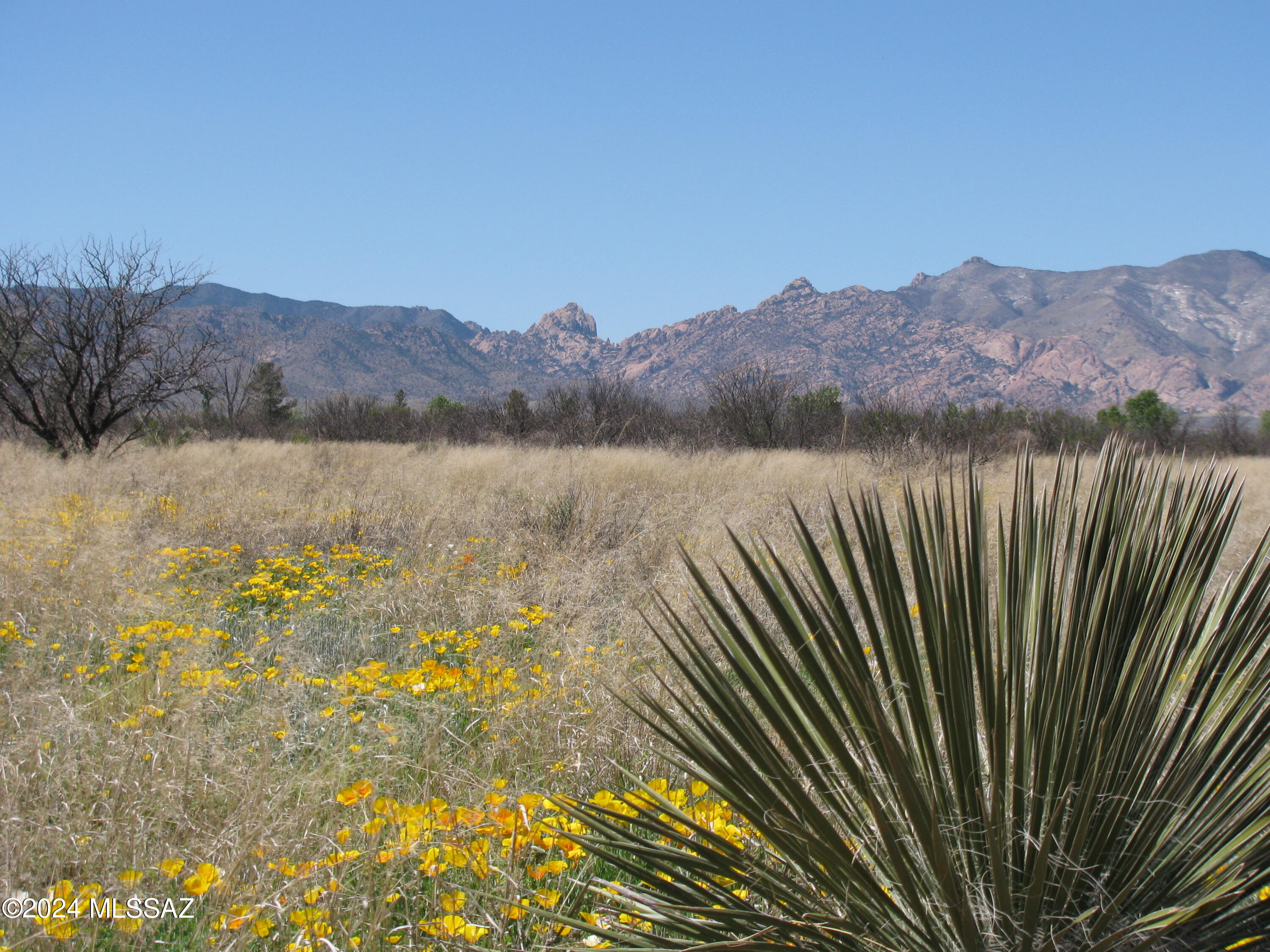 40 Ac - 1/4 M W Off Stronghold Road Cochise, AZ 85606 - Photo 14 of 17