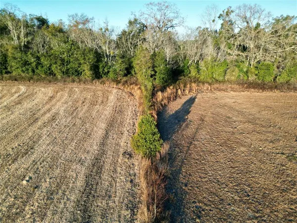 a view of a dry yard