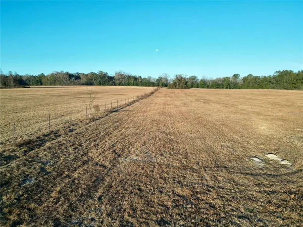 a view of a pathway with a garden