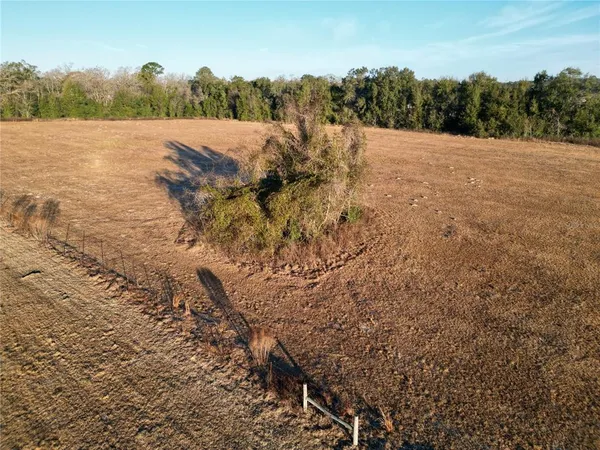 a view of a pathway with a yard