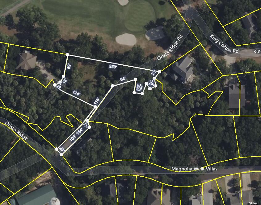 523 Oristo Ridge Edisto Beach, SC 29438 - Photo 1 of 12 523 Aerial from Tax