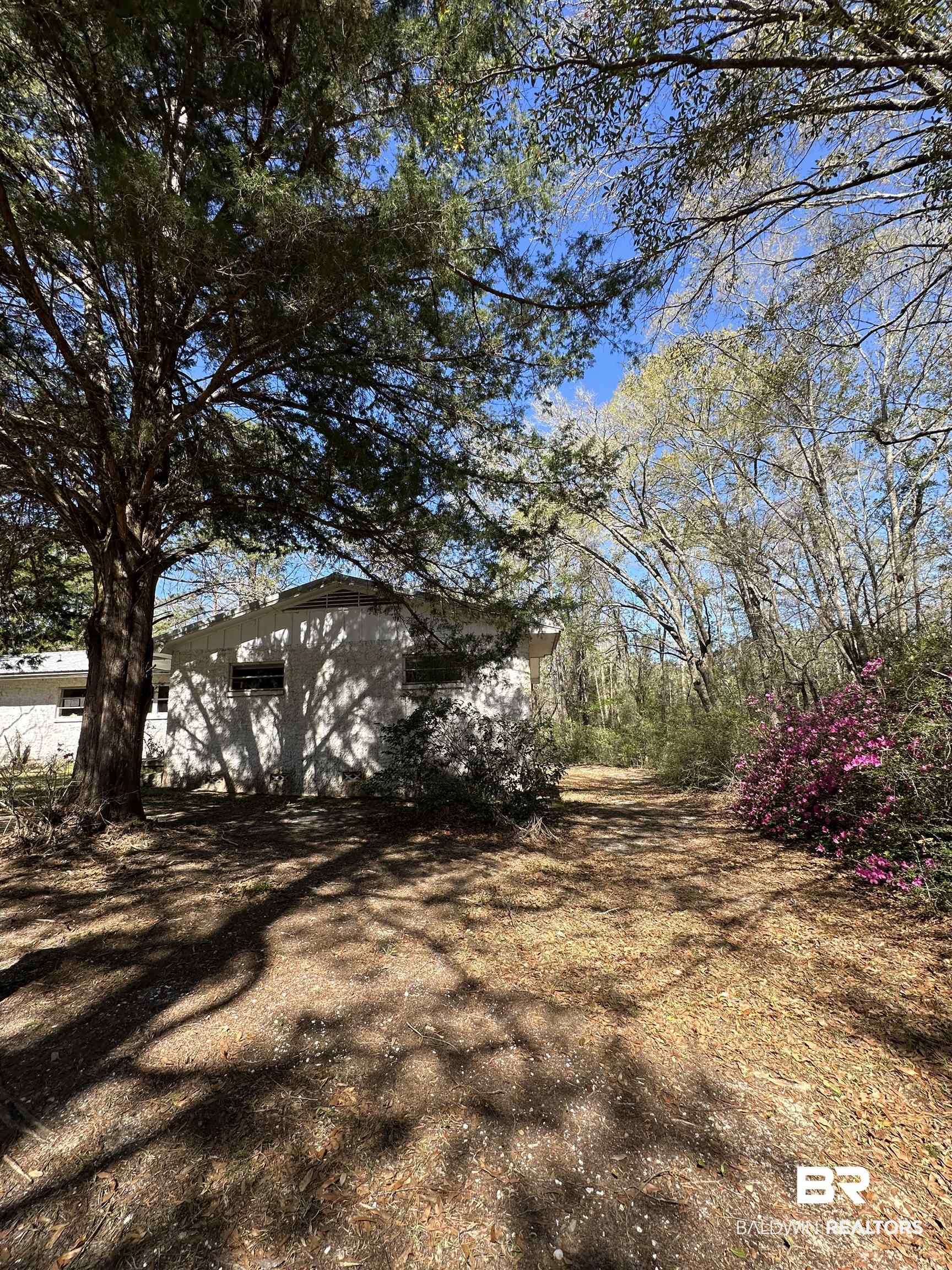 8731 Byrnes Lake Road Bay Minette, AL 36507 - Photo 2 of 14 View of yard