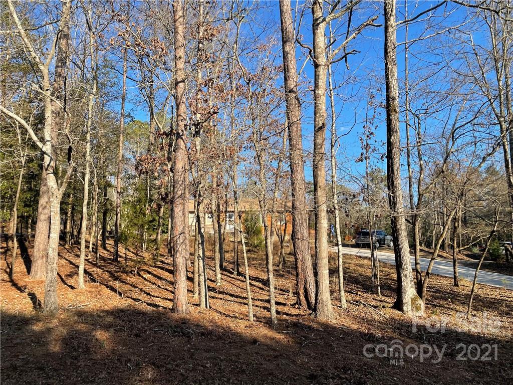 5535 Ussery Road Kershaw, SC 29067 - Photo 5 of 6 Gallery Image 5