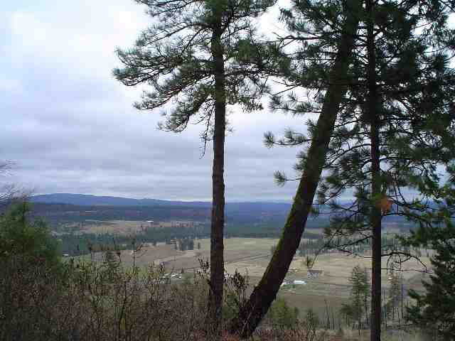 8108 North Prairie Crest Road Spokane, WA 99224 - Photo 9 of 9