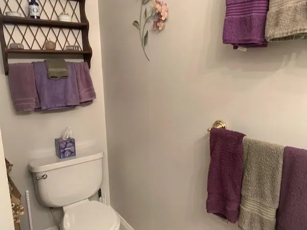 a white toilet sitting next to a shower curtain