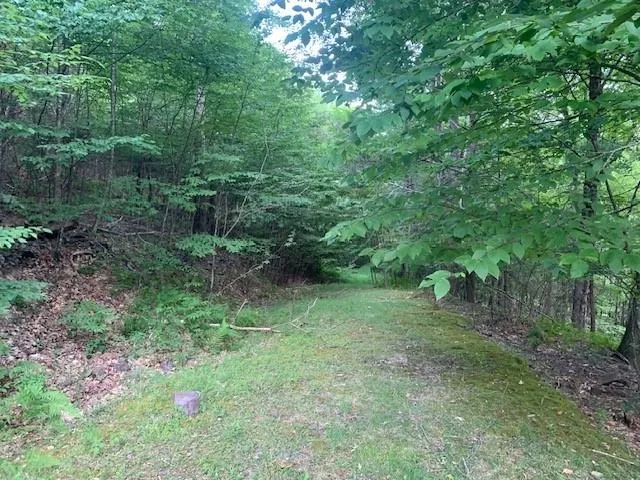 $550,000 | 3657 Highland Turnpike, Monterey, VA 24465