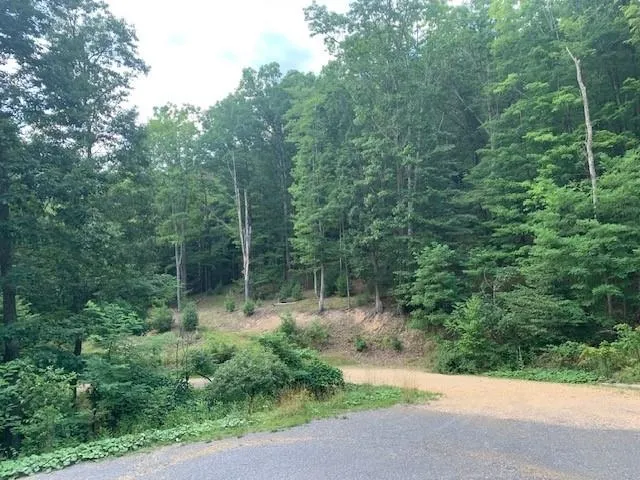 $550,000 | 3657 Highland Turnpike, Monterey, VA 24465