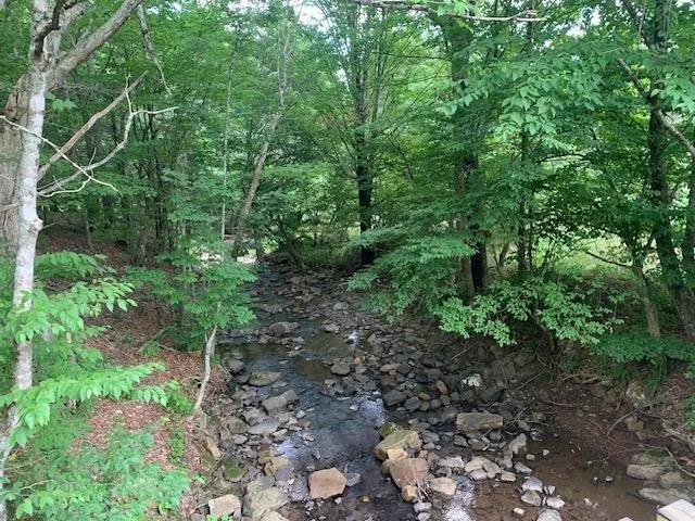 $550,000 | 3657 Highland Turnpike, Monterey, VA 24465