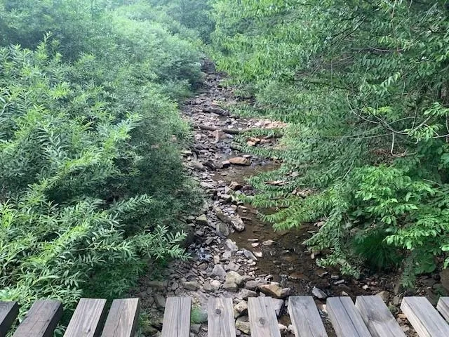 $550,000 | 3657 Highland Turnpike, Monterey, VA 24465