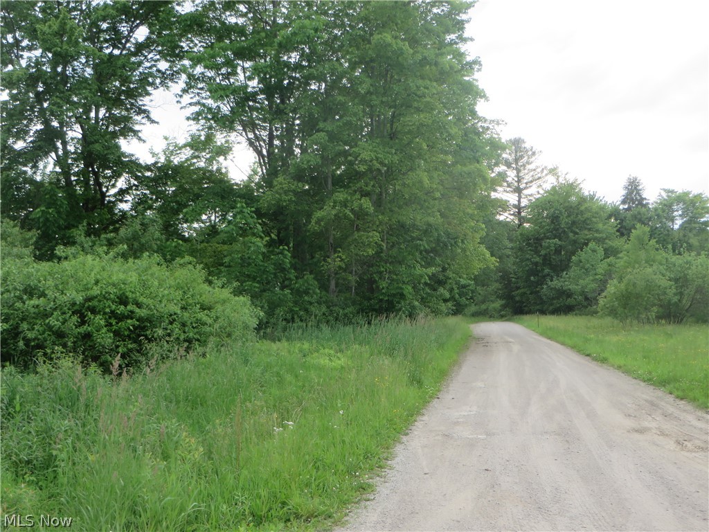 Vl Vl Calhoun & State Line Road Conneaut, OH 44030 - Photo 3 of 14 Gallery Image 3