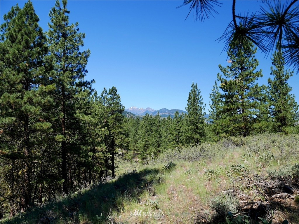 0 Paint Road Winthrop, WA 98862 - Photo 2 of 20 Gallery Image 2