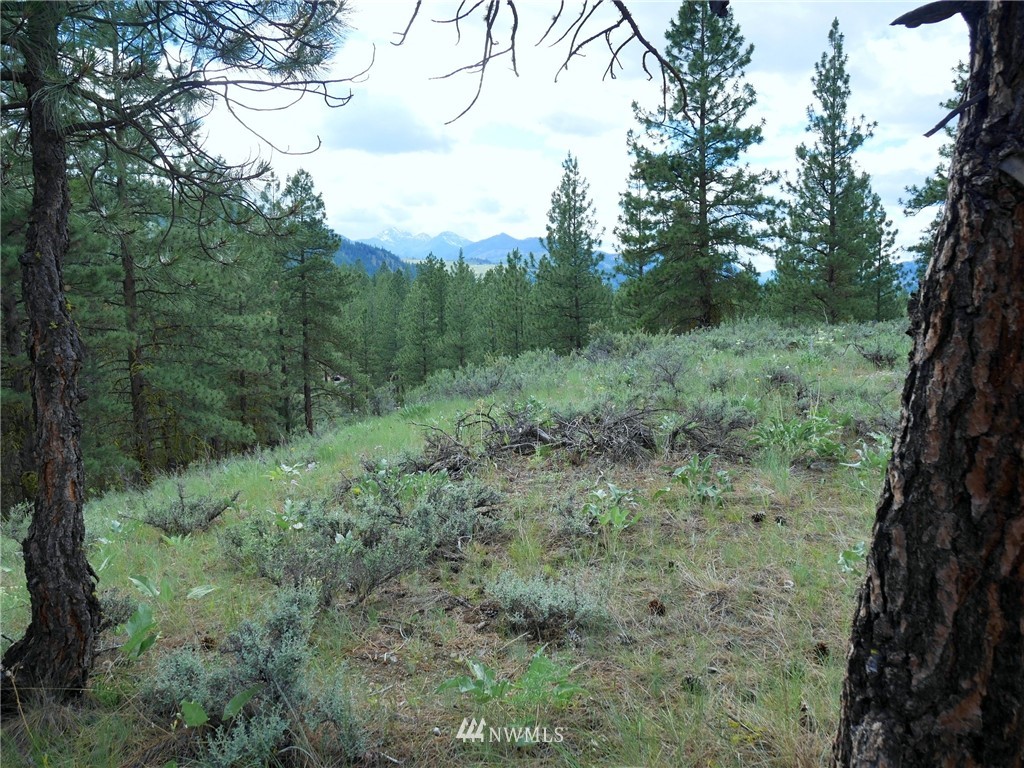 0 Paint Road Winthrop, WA 98862 - Photo 17 of 20 Gallery Image 17