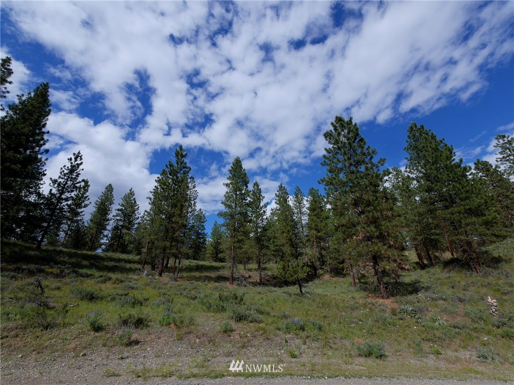 0 Paint Road Winthrop, WA 98862 - Photo 19 of 20 Gallery Image 19