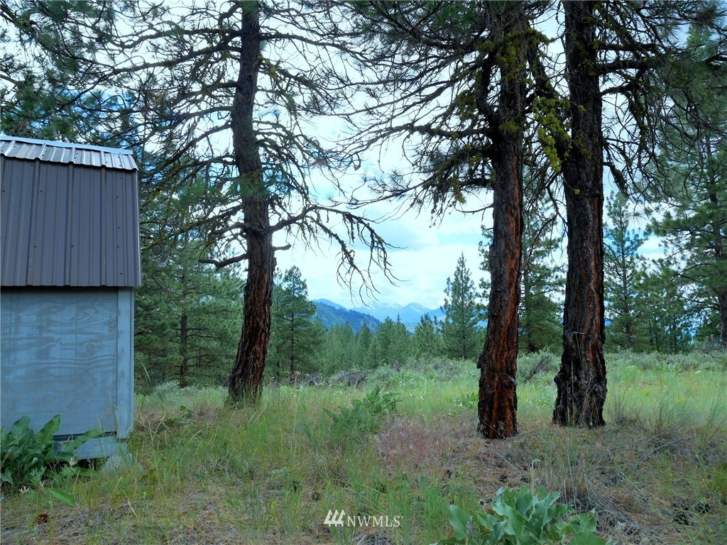 0 Paint Road Winthrop, WA 98862 - Photo 20 of 20 Gallery Image 20