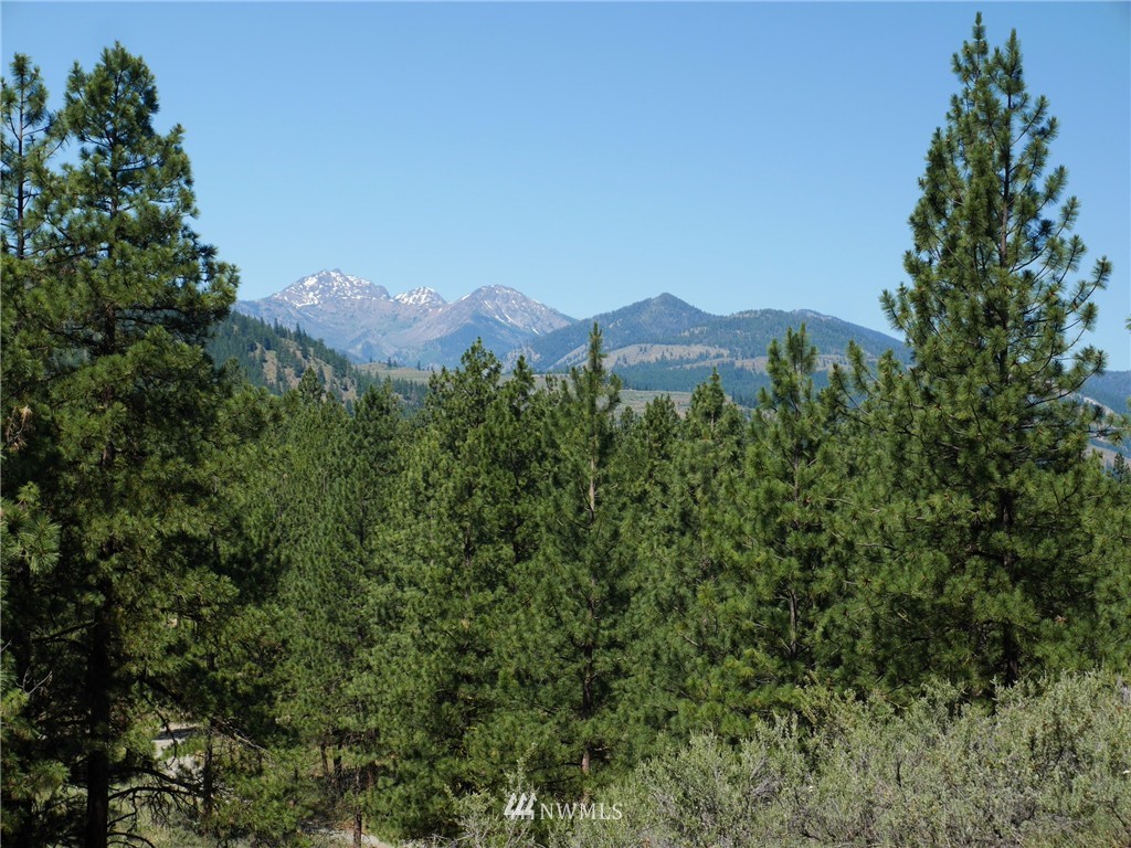 0 Paint Road Winthrop, WA 98862 - Photo 6 of 20 Gallery Image 6