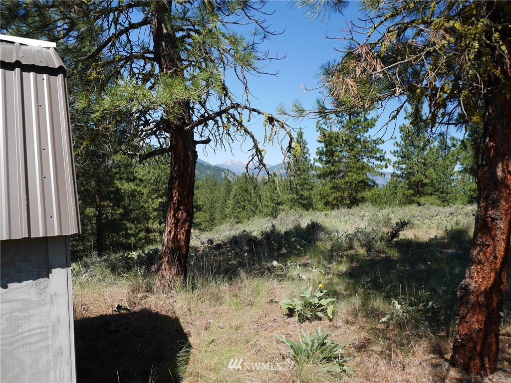 0 Paint Road Winthrop, WA 98862 - Photo 7 of 20 Gallery Image 7