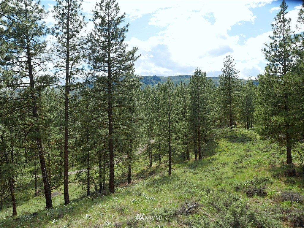 0 Paint Road Winthrop, WA 98862 - Photo 8 of 20 Gallery Image 8