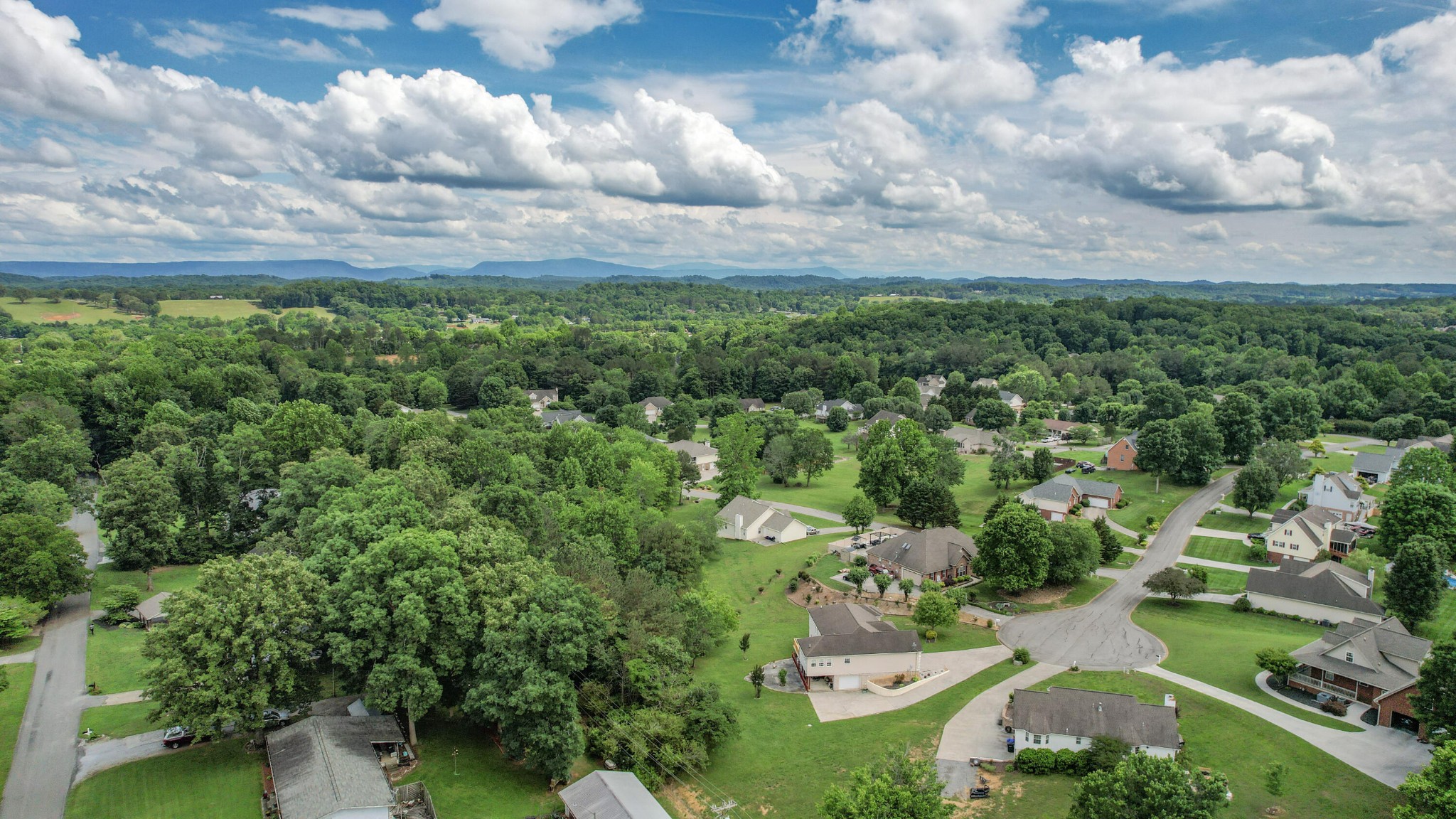 200 County Road 1150 Riceville, TN 37370 - Photo 80 of 81