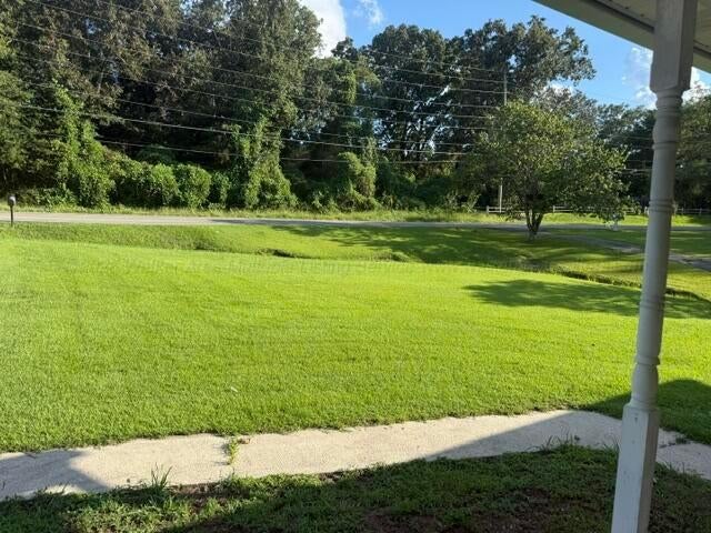 908 Brakefield Dairy Road Jasper, AL 35503 - Photo 4 of 30 Gallery Image 4
