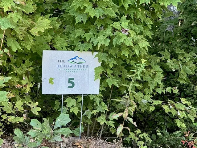 a view of a garden with plants