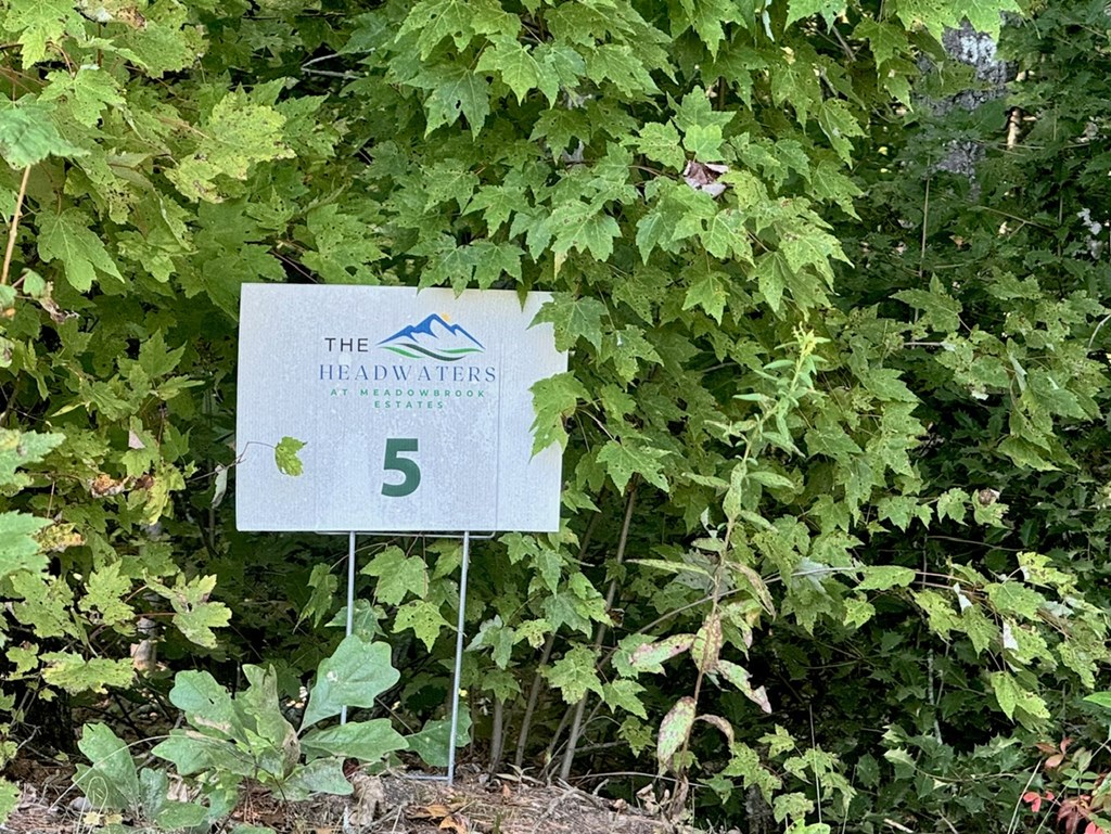 Lot 5 Felix Road Murphy, NC 28906 - Photo 11 of 19