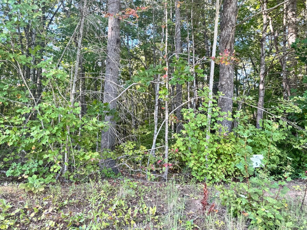 Lot 5 Felix Road Murphy, NC 28906 - Photo 12 of 19