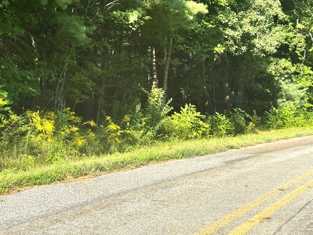 Lot 5 Felix Road Murphy, NC 28906 - Photo 14 of 19