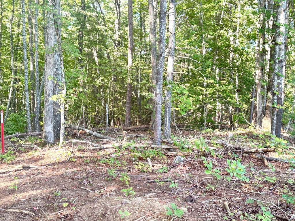 Lot 5 Felix Road Murphy, NC 28906 - Photo 15 of 19