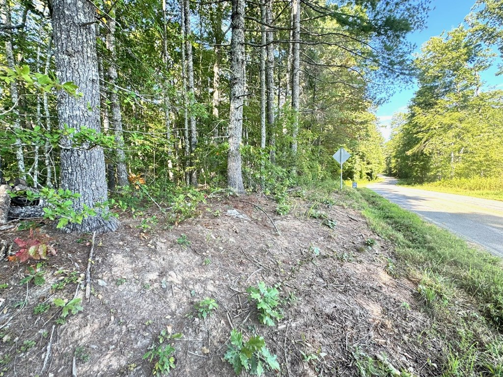Lot 5 Felix Road Murphy, NC 28906 - Photo 16 of 19