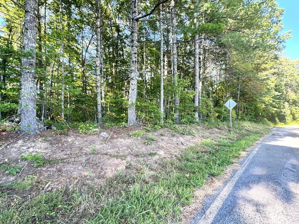 Lot 5 Felix Road Murphy, NC 28906 - Photo 17 of 19