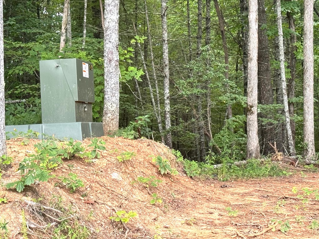 Lot 5 Felix Road Murphy, NC 28906 - Photo 18 of 19