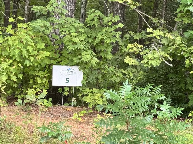 a sign board with a forest