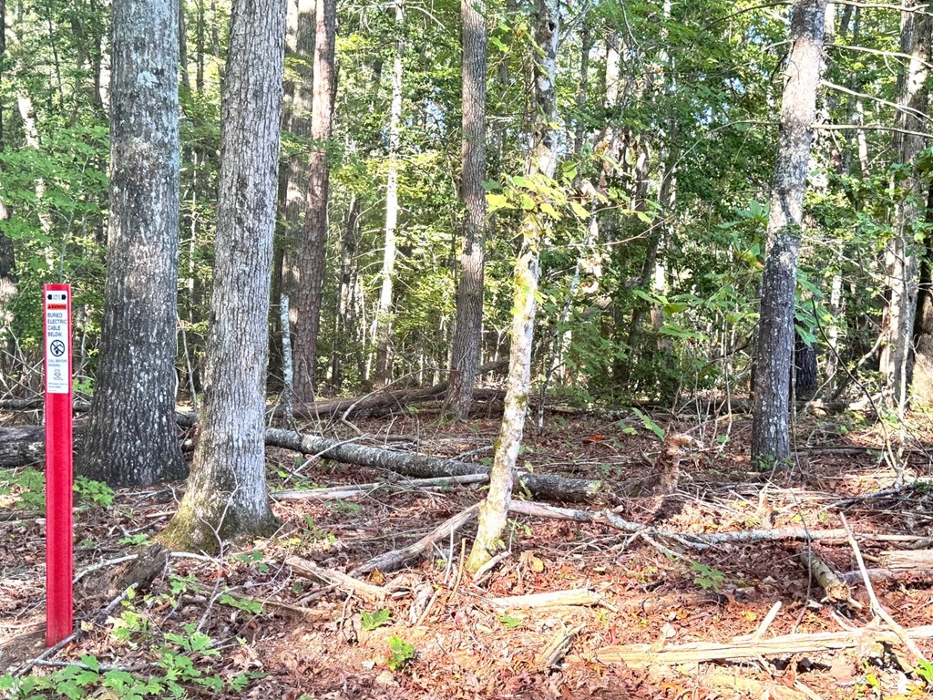 Lot 5 Felix Road Murphy, NC 28906 - Photo 5 of 19