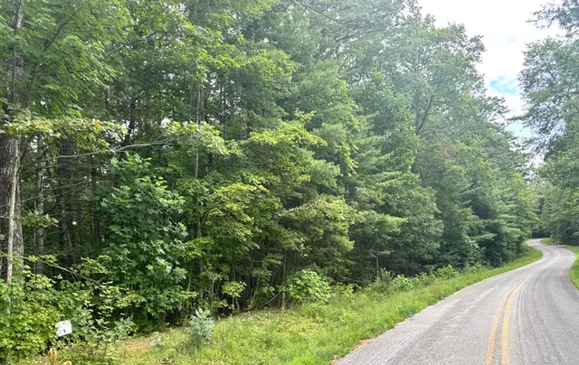 a backyard of a house with lots of green space and plants