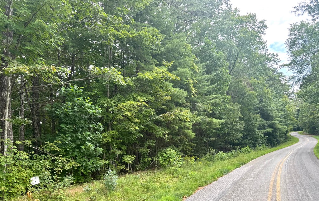 Lot 5 Felix Road Murphy, NC 28906 - Photo 7 of 19