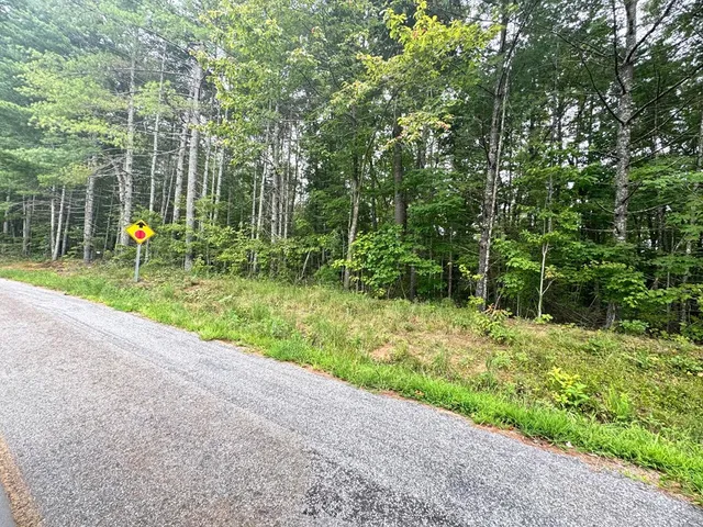 a view of outdoor space and garden