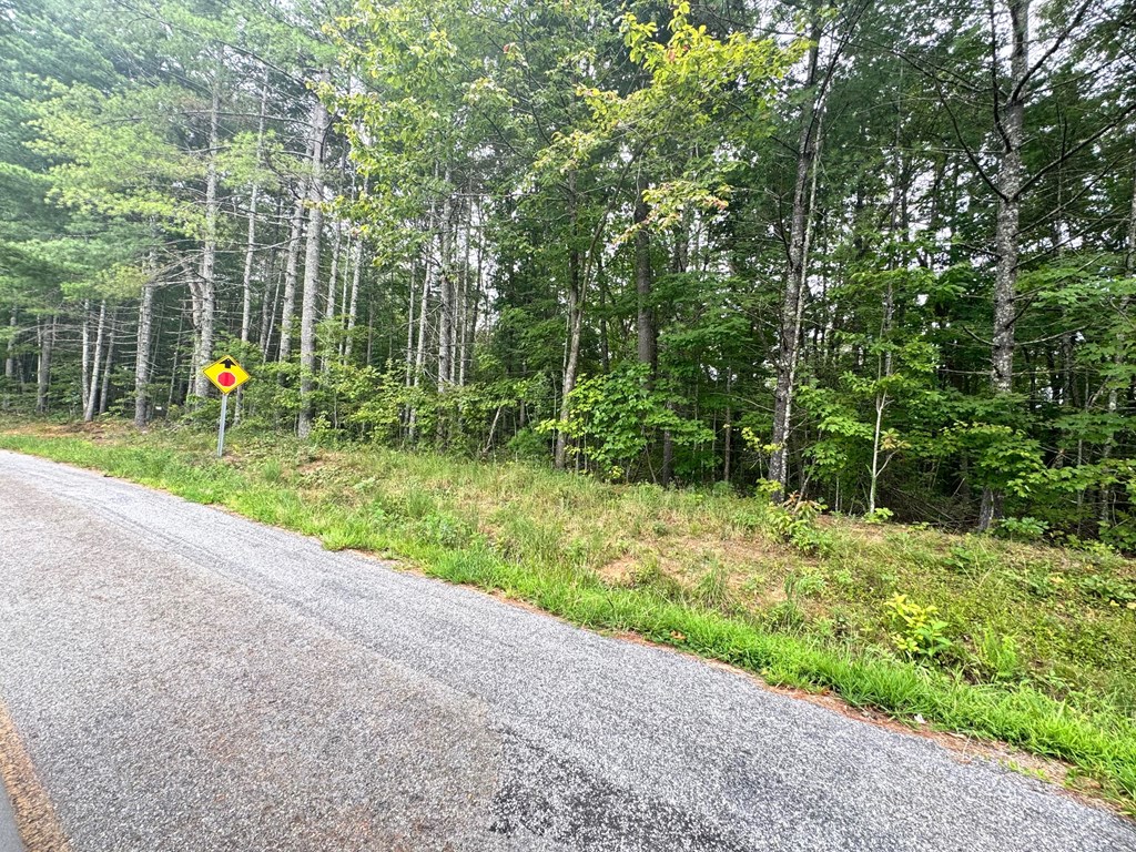 Lot 5 Felix Road Murphy, NC 28906 - Photo 8 of 19