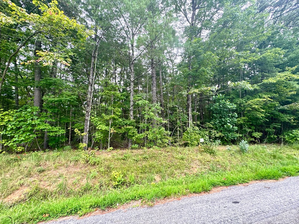 Lot 5 Felix Road Murphy, NC 28906 - Photo 9 of 19
