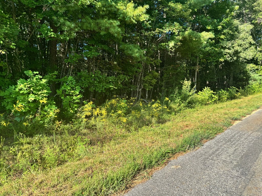Lot 5 Felix Road Murphy, NC 28906 - Photo 10 of 19