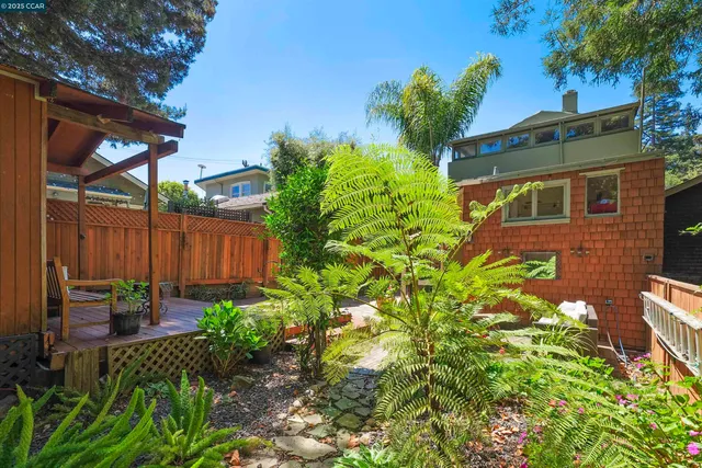 a view of a backyard with plants