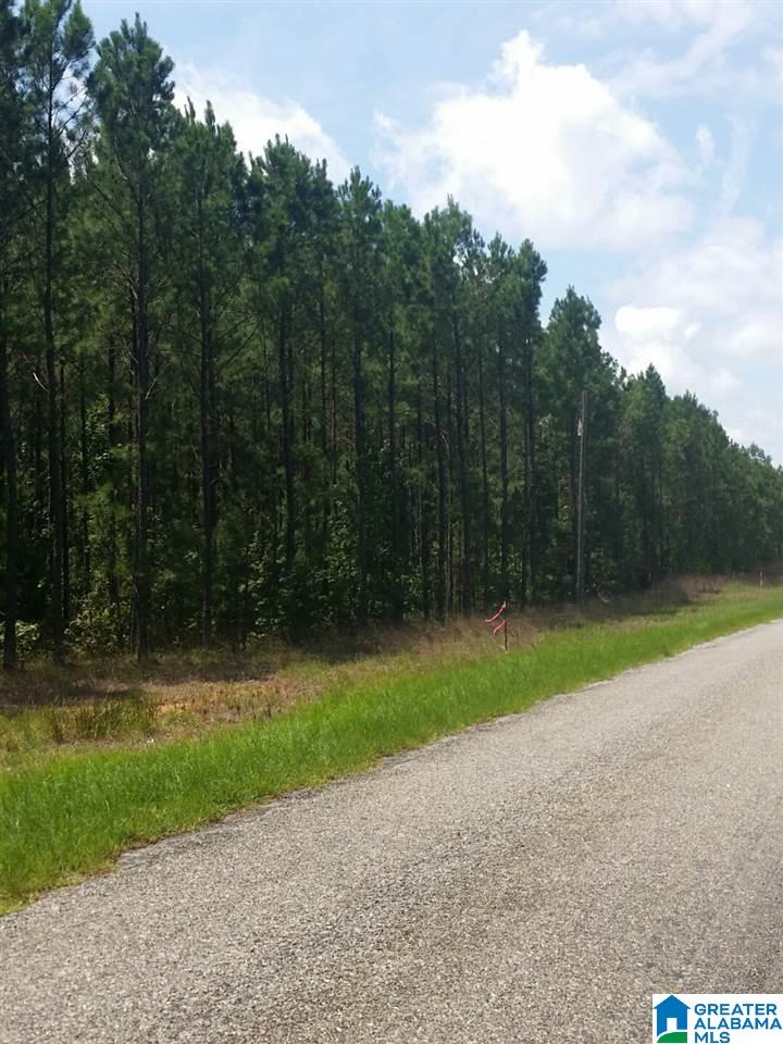 Country Club Road, Unit 7 Roanoke, AL 36274 - Photo 1 of 4