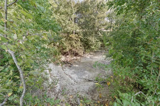 a view of yard with green space